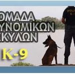 LOGO6