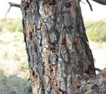 120410img_0226s