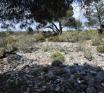 120410img_0234s