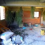 01.11.2010.foto2_