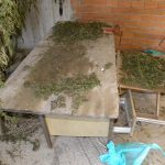 01.11.2010.foto4_