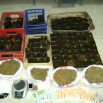 16032011narkb