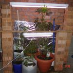 12042011kavalab