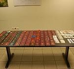 07122011-plasta-S