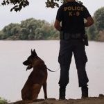 12082012-k9evros1s