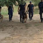 12082012-k9evros3s