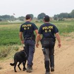 12082012-k9evros7s