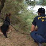 12082012-k9evros8