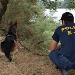 12082012-k9evros8s
