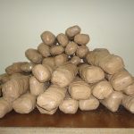 111012hpeirosnark1