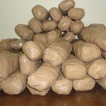 111012hpeirosnark1s