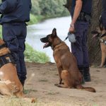 12082012-k9evros2