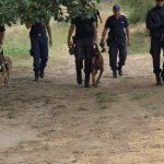 12082012-k9evros3