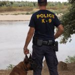 12082012-k9evros6