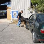 k9skyloi20