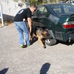 k9skyloi21