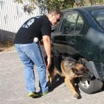 k9skyloi21s