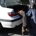 k9skyloi23s