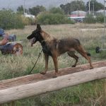 k9skyloi3
