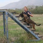 k9skyloi4s