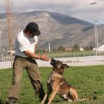 k9skyloi7