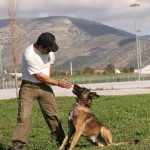 k9skyloi7s