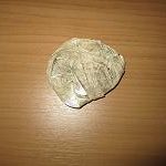21072014patra2s