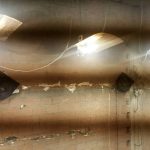 11072018densterea002