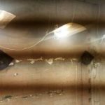 11072018densterea002s
