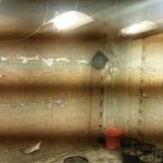 11072018densterea003s