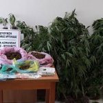 11072018pelopnarks