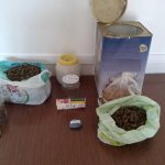 13072018kentrikhnark002