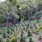 26062019gadadend006s
