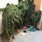 29072020samos
