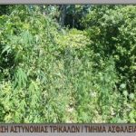 29072020trikala001s