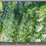 29072020trikala002