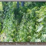 29072020trikala002s