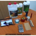 01082020fyteiadomokos003s