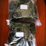 01082020mesologgi003s