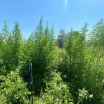 01082020serres001