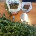 07082020kritinar002s
