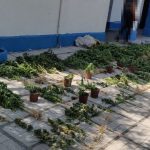 07082020notaig004