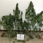 21082020messinia001