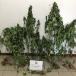 21082020messinia001s
