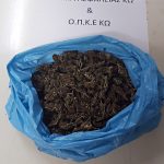 02092020notioiagaio