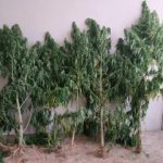 03092020dytikimakedonia002s