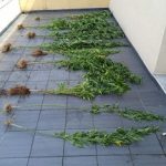 03092020kalliergias