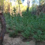04092020gadafyteia004