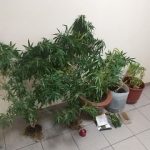 04092020samosnarks