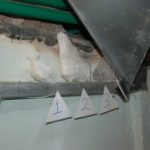 06092020-ereuna_kerkyra007s